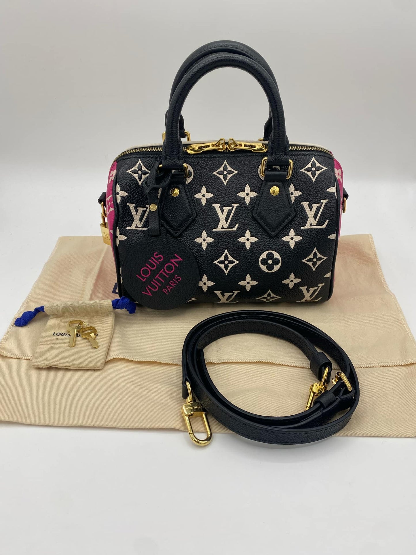 LOUIS VUITTON SPEEDY 20 M46088