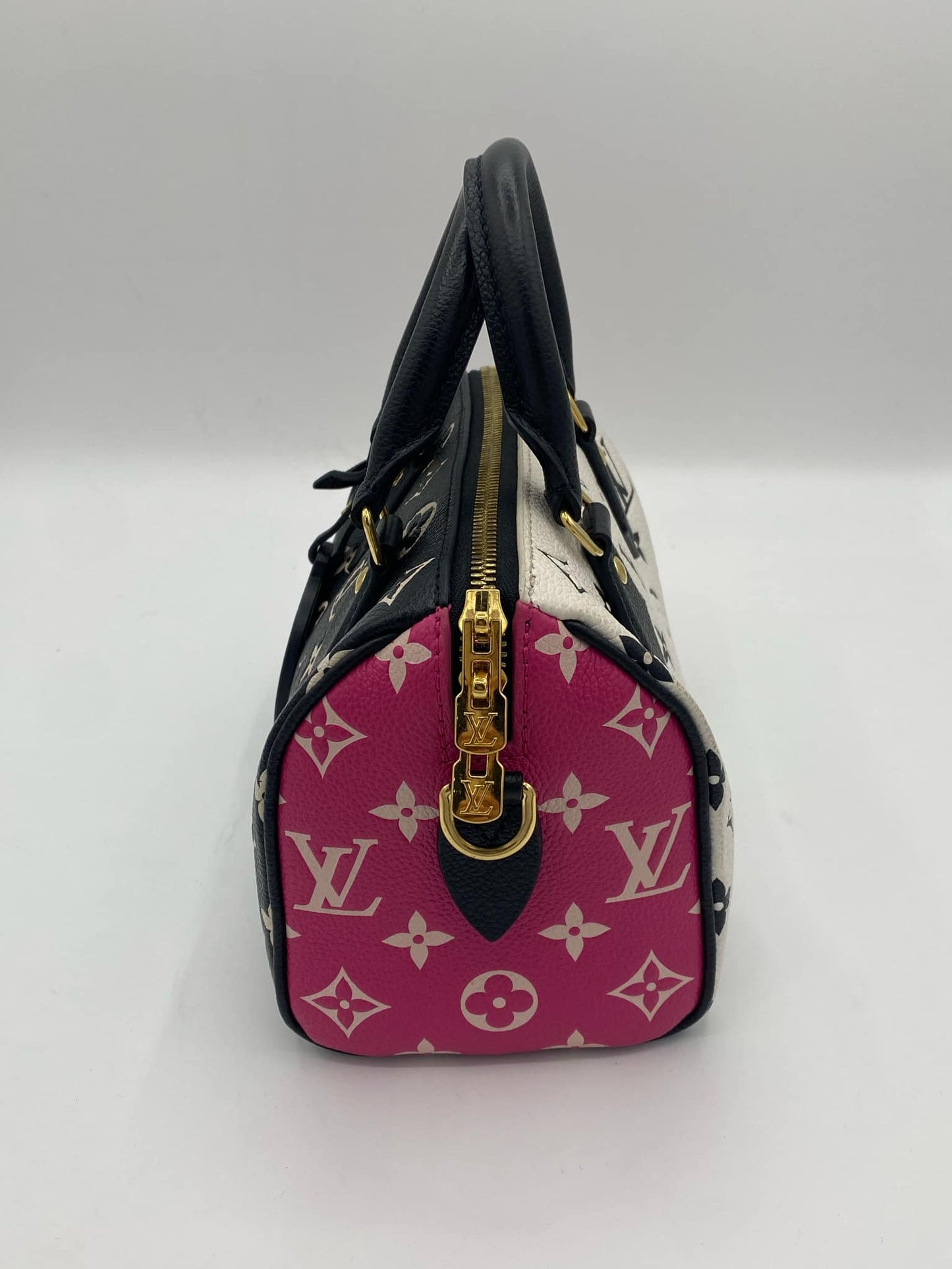 LOUIS VUITTON SPEEDY 20 M46088