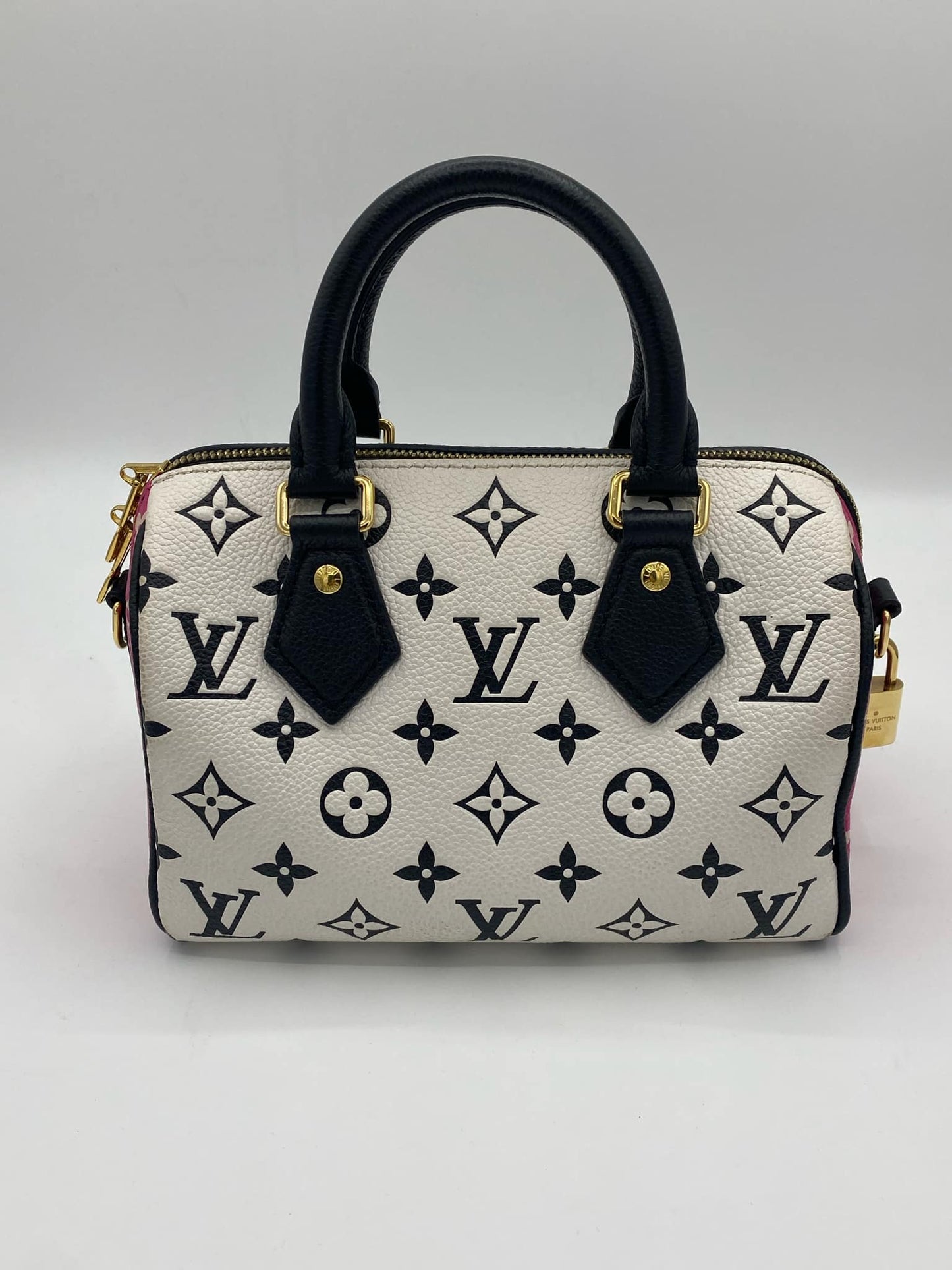 LOUIS VUITTON SPEEDY 20 M46088