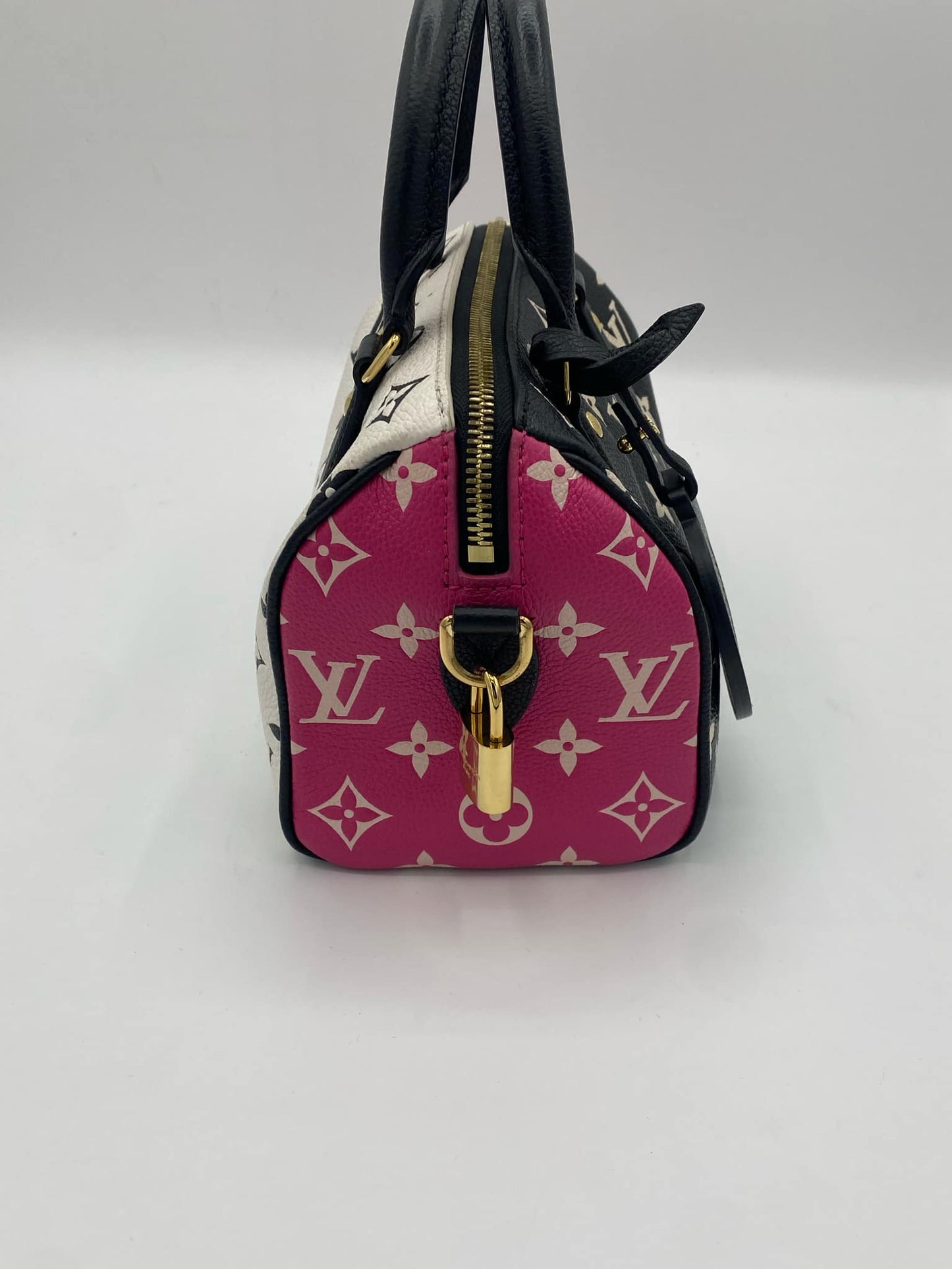 LOUIS VUITTON SPEEDY 20 M46088